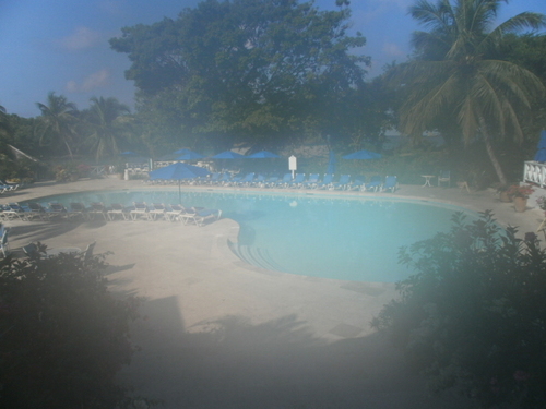 Carla Wilson Profile