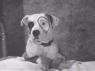 UnclePoiDog's profile picture. Hapa Kanaka Maoli transplant living on the mainland USA, passionate about food, wine, god, family, healthy living, freedom, justice and my BMW M3 convertible