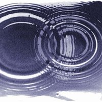 Hans Kraaijenhof (@hkraaijenhof) 's Twitter Profile