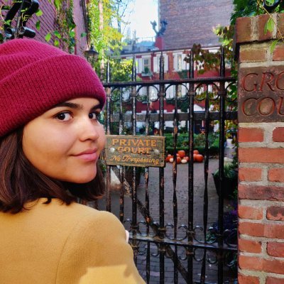 dora the explorer - software engineer - crazy cat lady