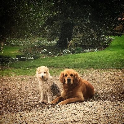 Laura199518's profile picture. 