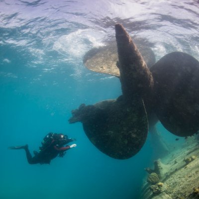 Film, TV and Web production specialist, underwater cinematographer, Course Director / IT and CCR Instructor.
🌍 Bristol
🎥 https://t.co/9hEOGpeCmN