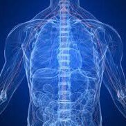 PedroSleeth's profile picture. Antiquarian. My thoughts. ‘The past is a foreign country; they do things differently there.’ (L. P. Hartley)