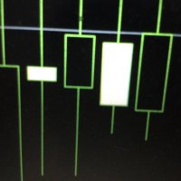 FXトレーダー猫 (@nekomeetsfx) 's Twitter Profile