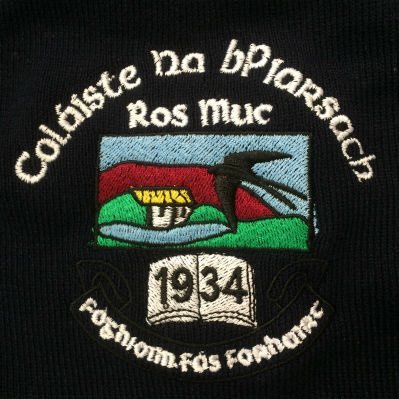 Coláiste na bPiarsach Profile
