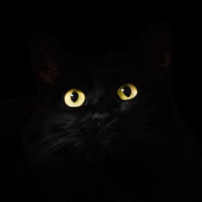 よろしくお願いします！無言フォロー失礼致します🙇🏻‍♂️
