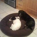 joanne lloyd - @littlelips77 - Twitter