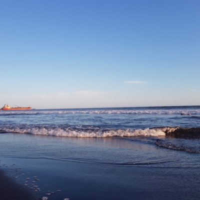 imtex8's profile picture. ROCKST⭐️R