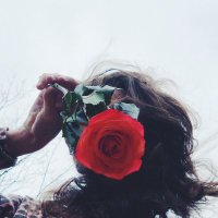 Nina Carr (@ninacarrmusic) 's Twitter Profile