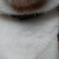 尊 (@tokube01) 's Twitter Profile