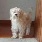 juligilla's profile picture. 