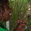 Kayann Johnson - @Khalsmom - Twitter