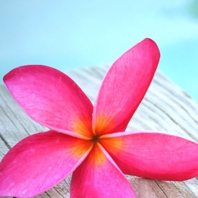 MarissaMammana's profile picture. NMS 📘
HSE ‘25 📕
Boating 🏖