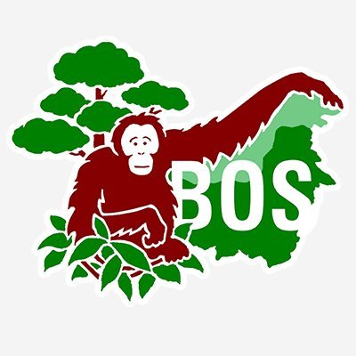 BOS Foundation Profile