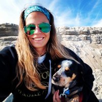 MsDriscollClass (@classdriscoll) 's Twitter Profile