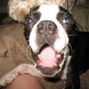 Brooke Kendrick - @Brook3lyn - Twitter