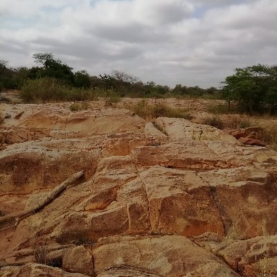 rakutfa's profile picture. 