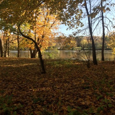 ehsan8989's profile picture. 