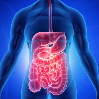 Journal of Gastroenterology Hepatobiliary Medicine (@journalofgastro) 's Twitter Profile