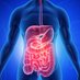 Journal of Gastroenterology Hepatobiliary Medicine (@journalofgastro) Twitter profile photo Journal of Gastroenterology Hepatobiliary Medicine (@journalofgastro) Twitter profile photo