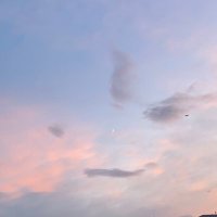 j.⁷ (@n0_chuu) 's Twitter Profile