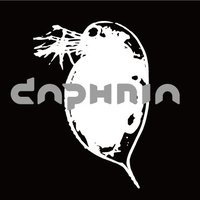 club Daphnia (@clubdaphnia) 's Twitter Profile