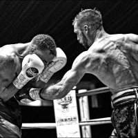 Lee Appleyard (@leeappleyard2) 's Twitter Profile