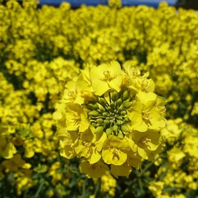99kw346cn's profile picture. 集中力と体力がほしい。