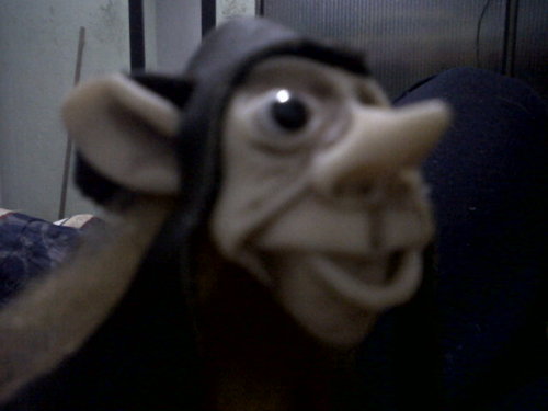 estebandeluz's profile picture. De Carne y Hueso!!!