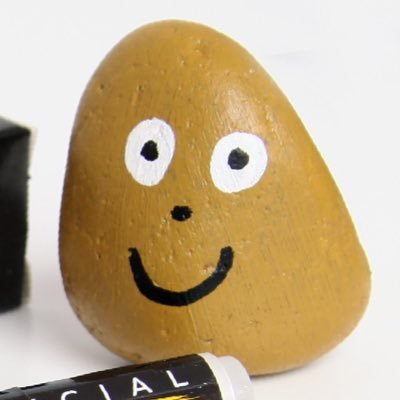 A paint pen company started by a 12yr old Surrey entrepreneur! Get a rock, paint a rock, hide a rock, find a rock! Most of all, Enjoy!! #RockFunUK