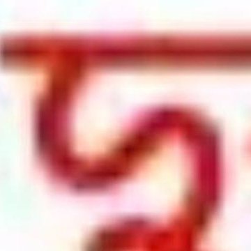 dhurbarp's profile picture. 