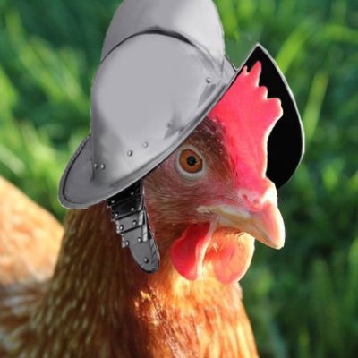 Al_pollofrit's profile picture. A este pollo lo tenéis frito