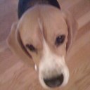 Mike Ellison - @pantz_of_canada - Twitter