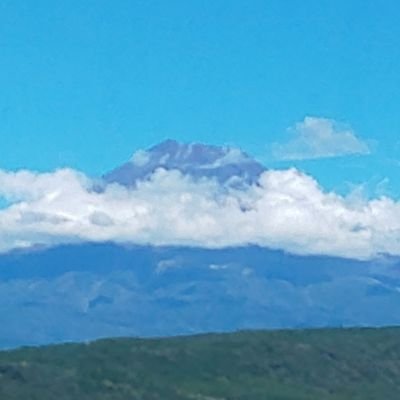 ハレタロさんのプロフィール画像