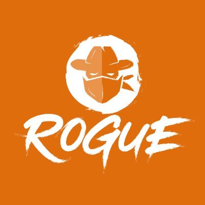 RogueImmersive Profile Picture