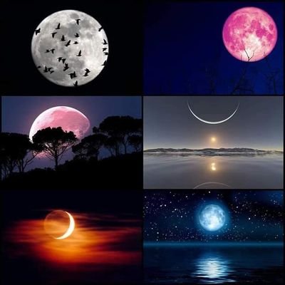 ruben1portillo's profile picture. (hard work pays off, so follow your dreams and keep it up)