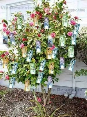 Asria76127788's profile picture. happy