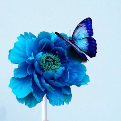 مَزيج جميل من كل شيءٍ ناقص .                                     https://t.co/ZxRDqAZJ7T