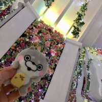 ドヒの介※期間限定変更中 (@dobidobidobby) 's Twitter Profile