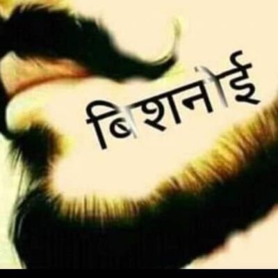 Ramniwa86159195's profile picture. jodhpur Rajshthan