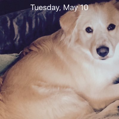 kevin56140792's profile picture. 