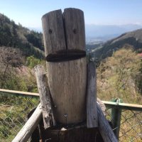 あずき (@yhnc3mzwzd2wyig) Twitter profile photo