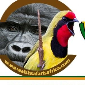 👉GORILLA TREKKING TOURS👉WILDLIFE SAFARIS👉MOUNTAIN CLMBING👉BIRDING_👉IN #UGANDA_#RWANDA_TEL📲: +256781689559 /+256414665576
_📧: info@walshsafarisafrica.com