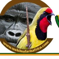 WALSH SAFARIS & TRAVELS AFRICA (U) LTD (@safariswalsh) 's Twitter Profile