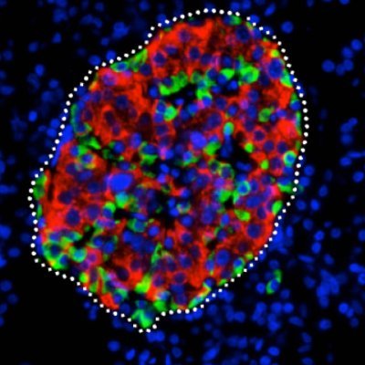 EISG_2022's profile picture. 