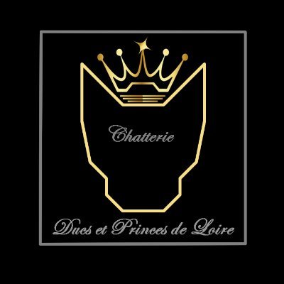 Chatterie Maine Coon des Ducs et Princes de Loire