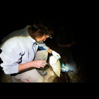 Daniel Nugent (@dr_dannugent) 's Twitter Profile