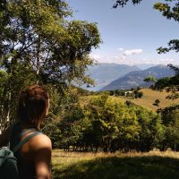 nicoletta caronni (@ncaronni) 's Twitter Profile