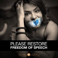 Maryam Henein/ (aka BeeLady) / Non Psyop (@maryamhenein) 's Twitter Profile Photo Maryam Henein/ (aka BeeLady) / Non Psyop (@maryamhenein) 's Twitter Profile Photo