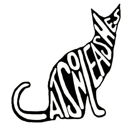 CatsOnLeashesWI's profile picture. A punk band from Madison, WI.
